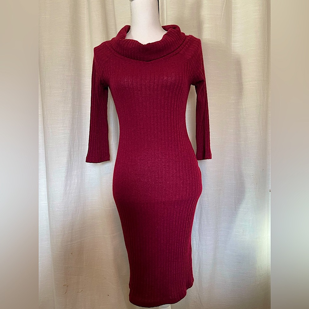 Jella Couture Burgundy Turtle Neck Dress (medium)